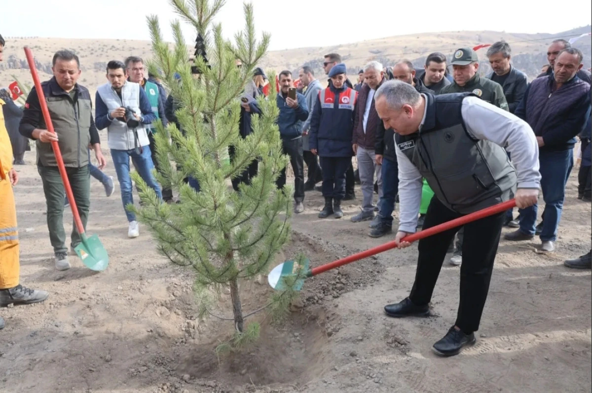 11 Kasım’da ‘Sevdamız Yeşil Vatan’ Nevşehir’de Hayata Geçti