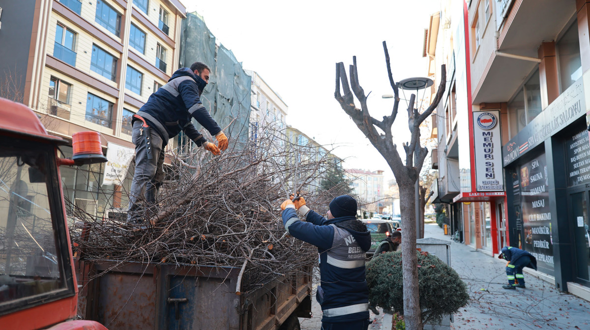 Belediye Ekipleri Kışlık Budama Çalışmalarına Devam Ediyor