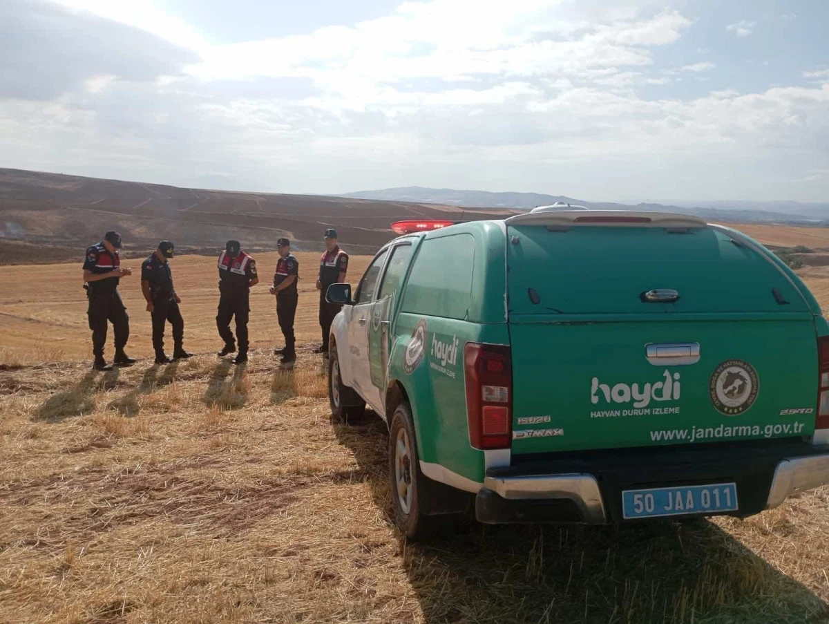 Jandarma’dan Doğa ve Hayvan Dostu Denetim