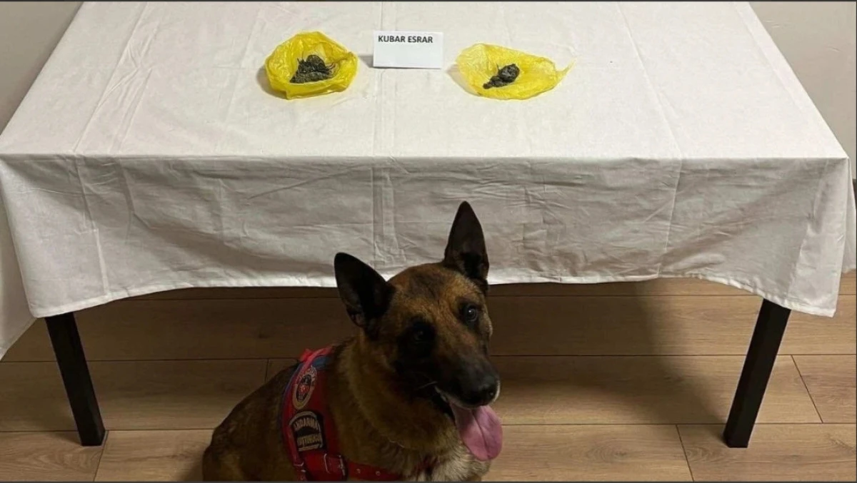 Kozaklı’da Jandarma Denetimi: Araçta Esrar Ele Geçirildi