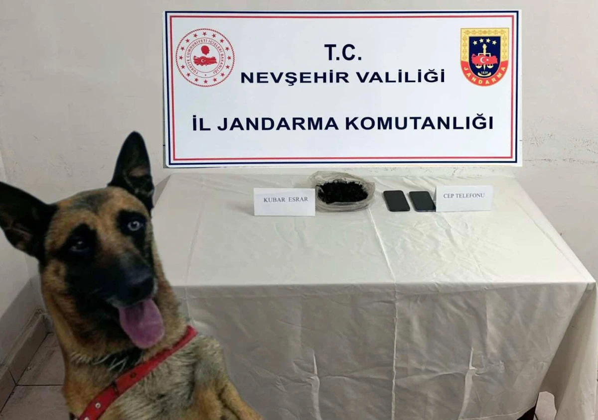 Nevşehir Jandarmasından Uyuşturucu Operasyonu: 337,9 Gram Esrar Ele Geçirildi