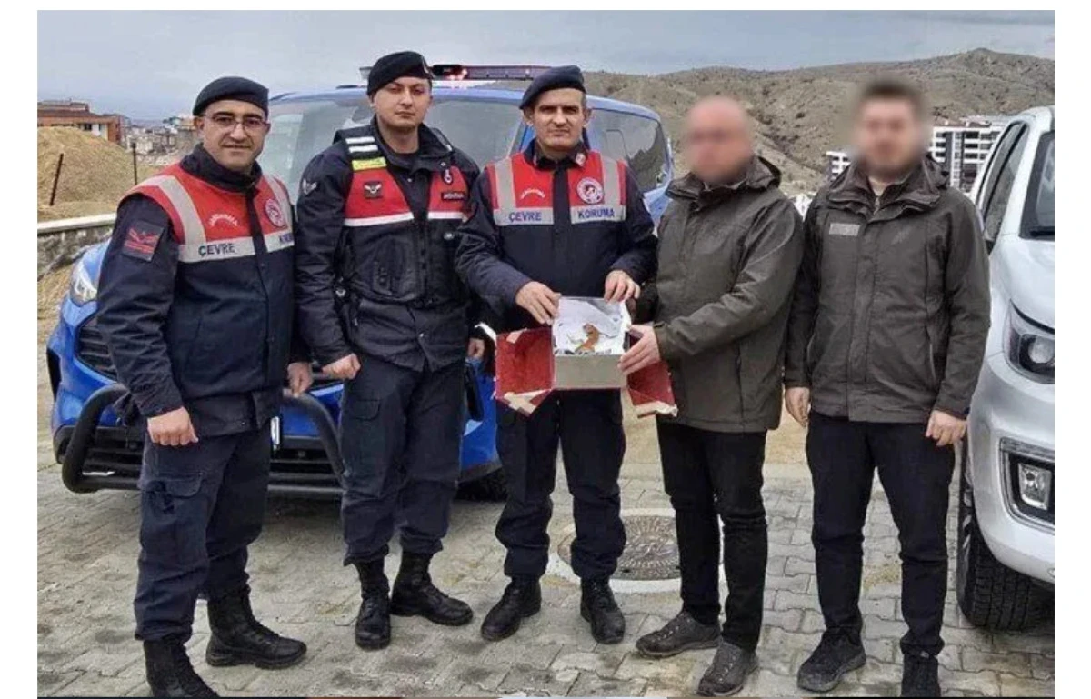 Nevşehir&rsquo;de Egzotik Operasyon: Ka&ccedil;ak İguana Jandarma ve DKMP Tarafından Kurtarıldı