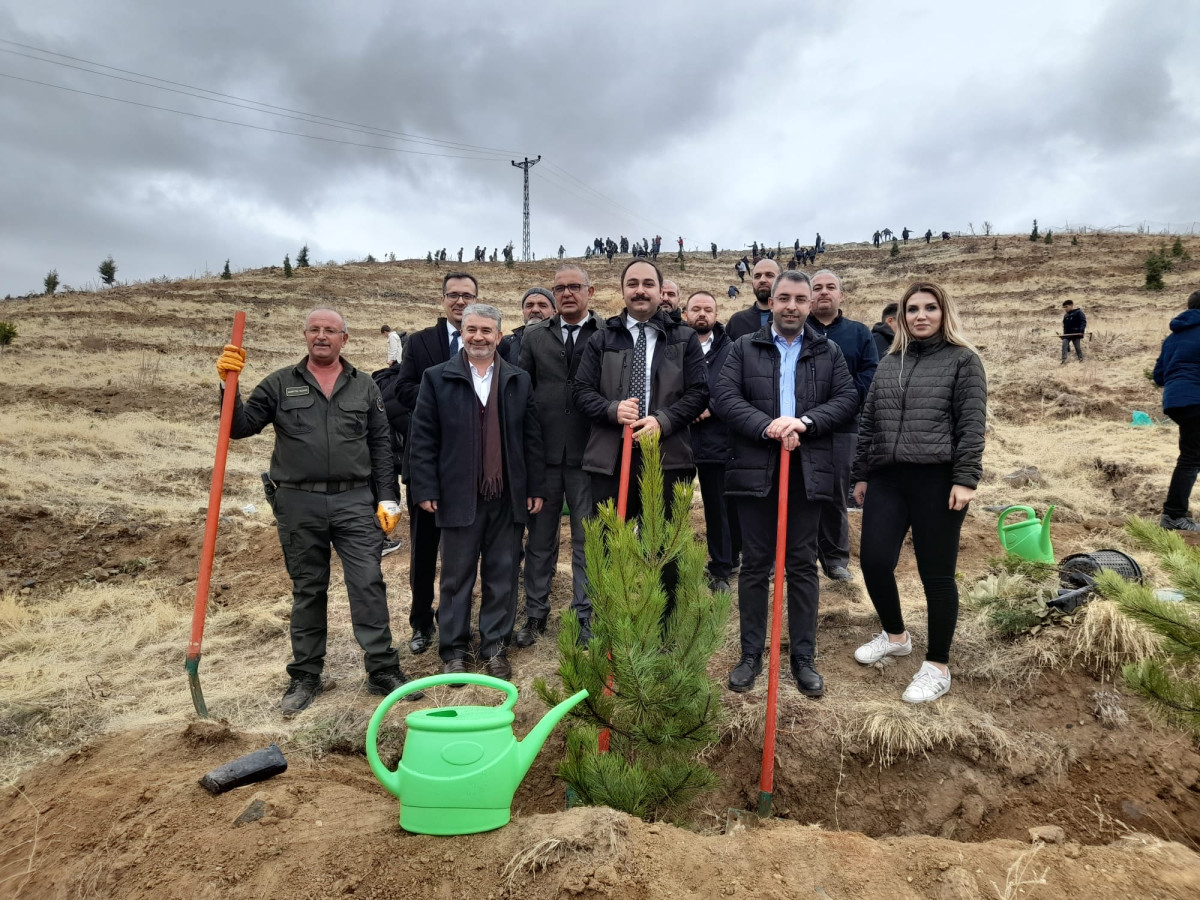 Yemyeşil Bir Karapınar İçin 1000 Ağaç Toprakla Buluşturuldu.